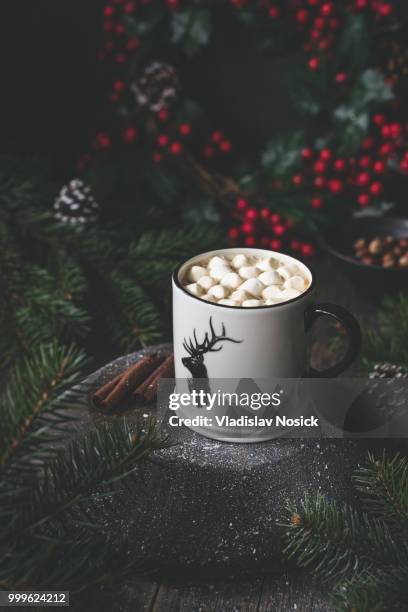 hot chocolate with marshmallows and cinnamon - chocolate marshmallows stock pictures, royalty-free photos & images