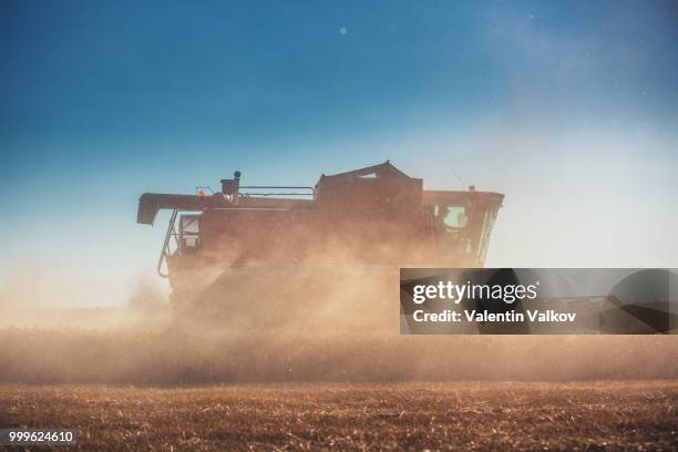 combine harvester agriculture machine harvesting golden ripe whe - fog machine stock pictures, royalty-free photos & images