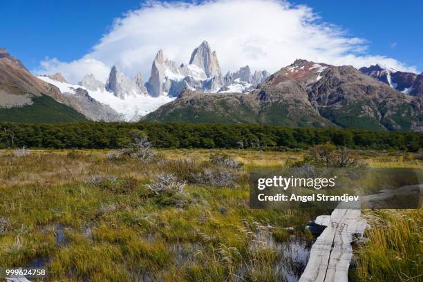 monte fitz roy patagonia argentina - fitz roy stock-fotos und bilder