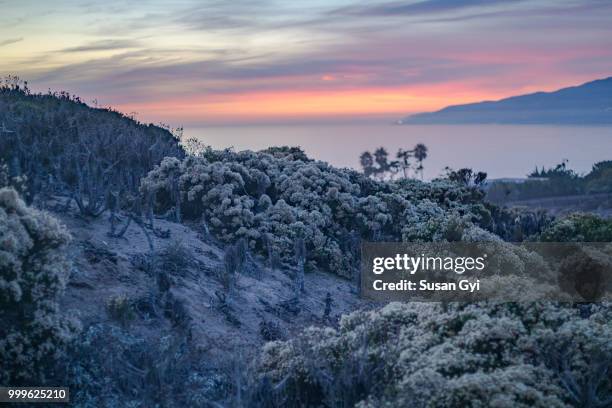 hazy sunset on point dume ii - sunset point stock pictures, royalty-free photos & images