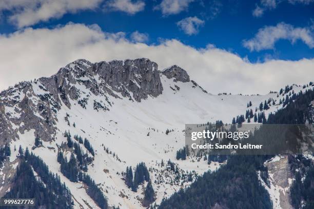 the alpine way - leitner photos et images de collection