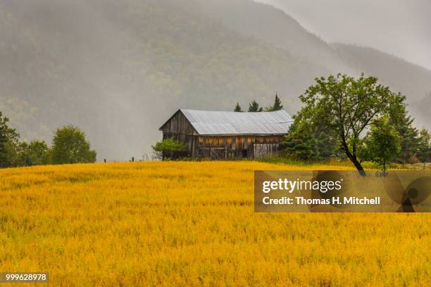 canada-quebec-petit-saguenay - petit fotografías e imágenes de stock