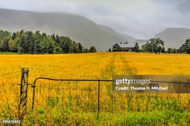 canada-quebec-petit-saguenay - petit fotografías e imágenes de stock