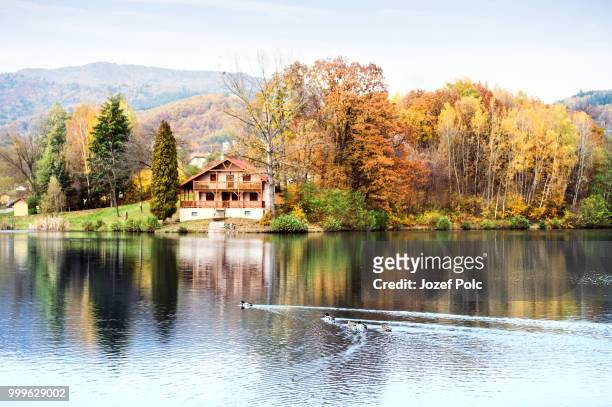 ducks, lake and cottage in the autumn nature. - jozef polc stock pictures, royalty-free photos & images