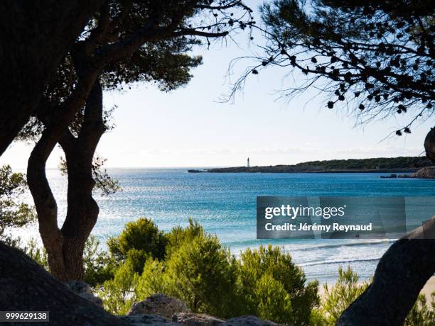 plage marseillaise - plage - fotografias e filmes do acervo