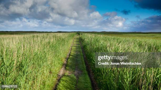 field - jonas weinitschke stockfoto's en -beelden