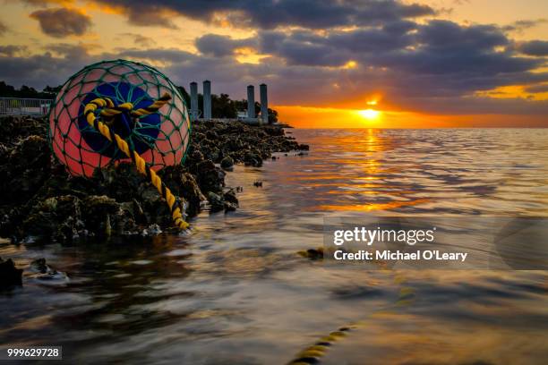 a new day... - dermot o leary fotografías e imágenes de stock