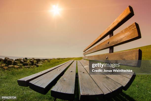 bench - jonas weinitschke stock pictures, royalty-free photos & images