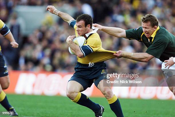 Nathan Grey Rugby 448 Nathan Grey Rugby Player Stock Photos, High-Res Pictures, and ...
