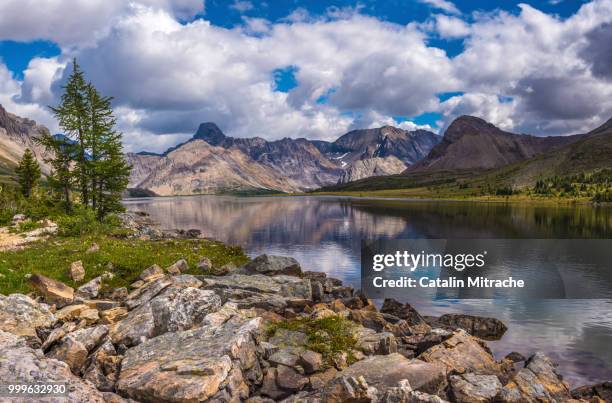 ptarmigan lake - ptarmigan stock pictures, royalty-free photos & images