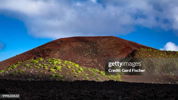 vulcano on lanzarote - fischer stock pictures, royalty-free photos & images