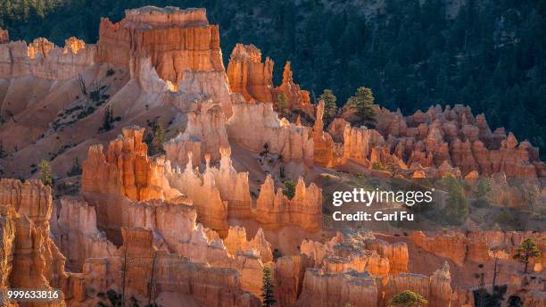 A Fu 59,521 A Fu Stock Photos, High-Res Pictures, and Images - Getty Images