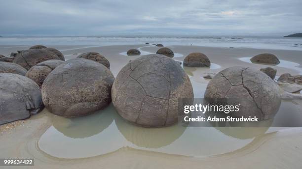 moeraki boulders - moeraki boulders stockfoto's en -beelden