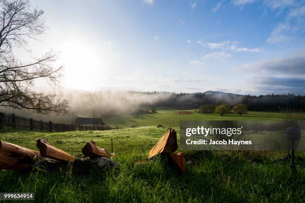 split wood in a field - jacob imagens e fotografias de stock