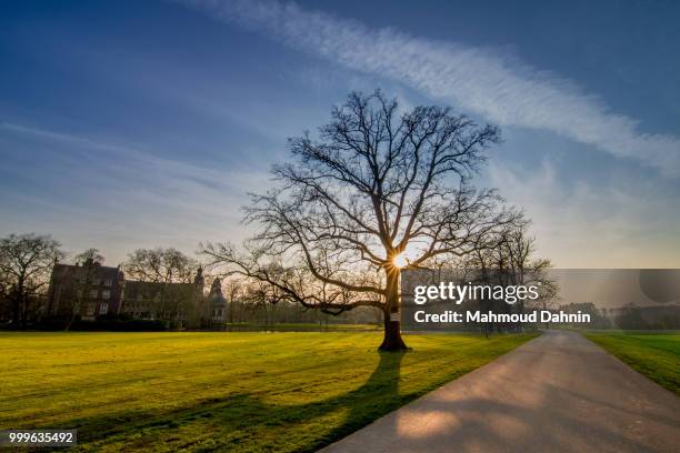 landscape sunset - mahmoud stockfoto's en -beelden