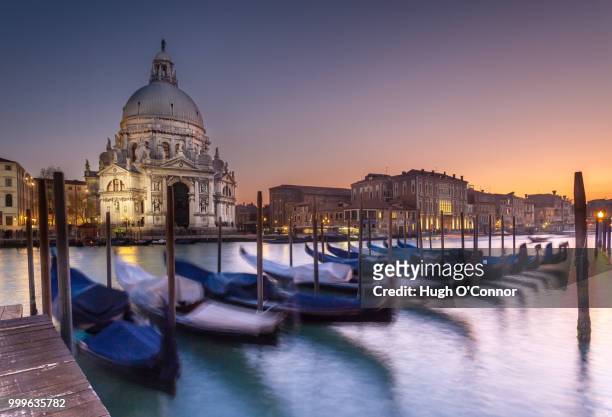 venetian light - o’connor stock pictures, royalty-free photos & images