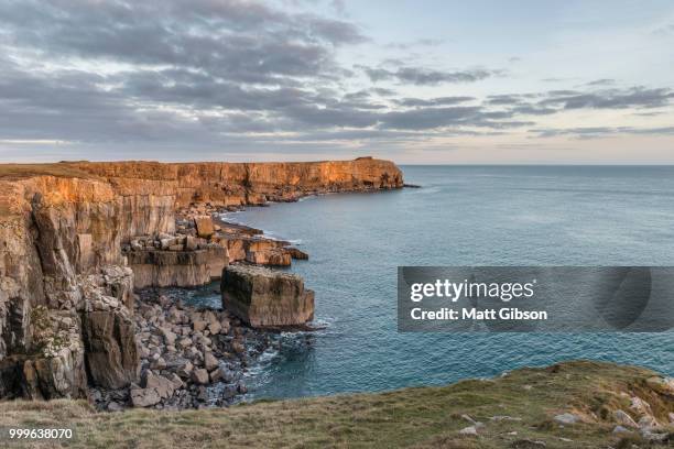 stunning vibrant landscape image of cliffs around st govan's hea - govan bildbanksfoton och bilder