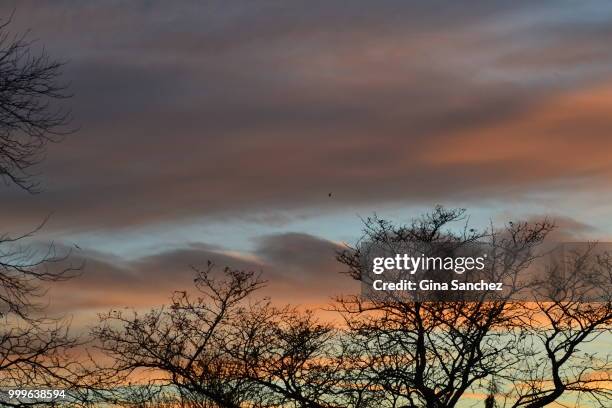 nassau county sunset - sanchez bildbanksfoton och bilder