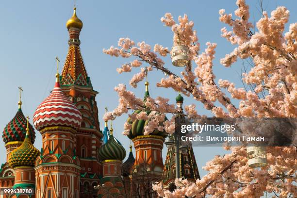 spring moscow. city landscape. st. basil's cathedral of the bles - zwiebelturm stock-fotos und bilder