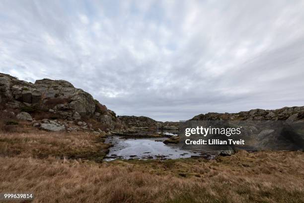 pond by the trail in brown coastal winter landscape, at the rovaer archipelago, rovaer island in... - tveit foto e immagini stock