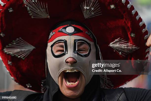 Fan during the 2018 FIFA World Cup Russia Final between France and Croatia at Luzhniki Stadium on July 15, 2018 in Moscow, Russia.