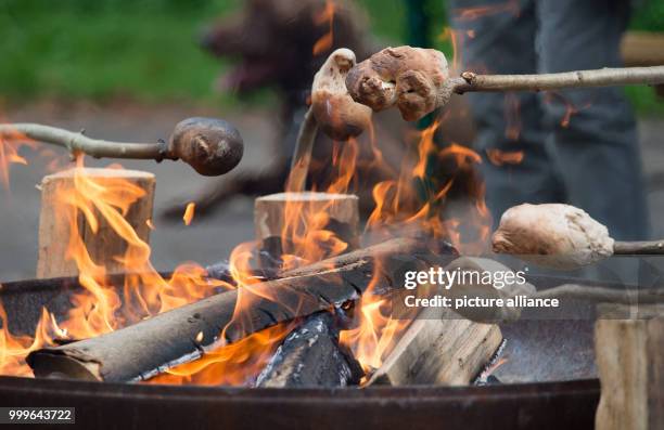Stick bread is prepared over an open fire as part of an event by the Koelner Jaegerschaft e.V. At Gut Leidenhausen in Cologne, Germany, 2 September...