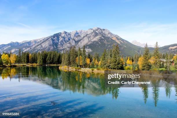 banff reflection - carly stockfoto's en -beelden