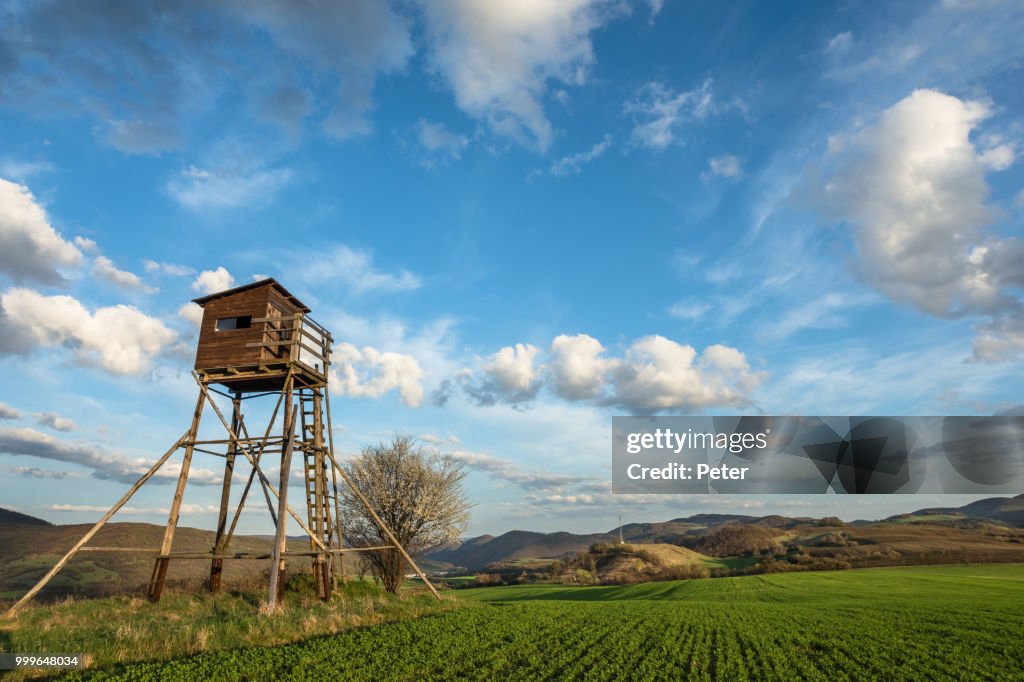 Spring country