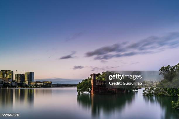 floating forest - hao stock pictures, royalty-free photos & images