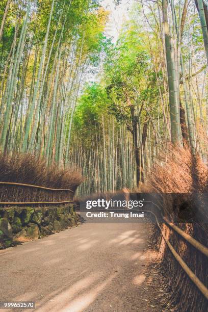 japan - imai stock pictures, royalty-free photos & images