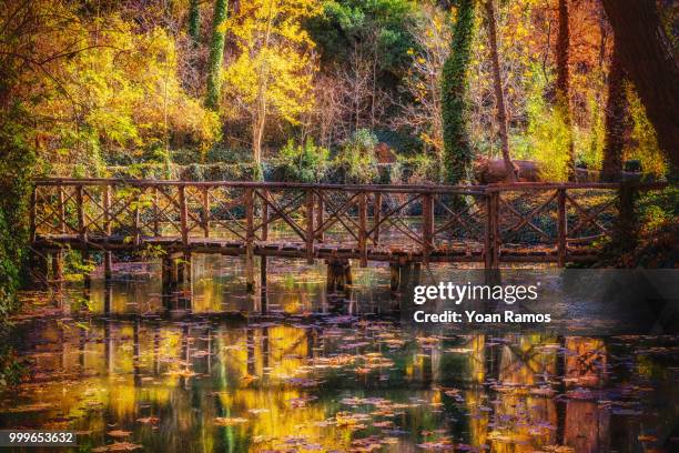 puente de madera - madera stock pictures, royalty-free photos & images