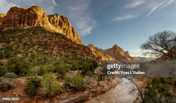 along the virgin river (utah) - italien 個照片及圖片檔