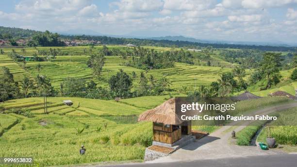 jatiluwih rice terraces - jatiluwih rice terraces stock pictures, royalty-free photos & images