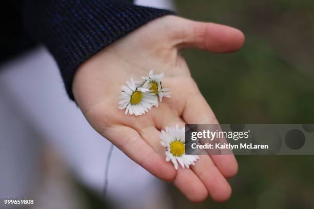 Img High-Res Stock Photo
