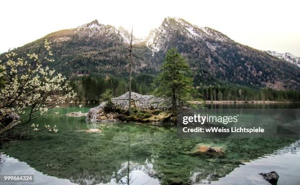 hintersee beauty... - lichtspiele stock pictures, royalty-free photos & images