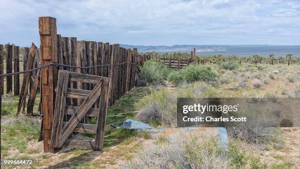 open gate - scott wood stock pictures, royalty-free photos & images