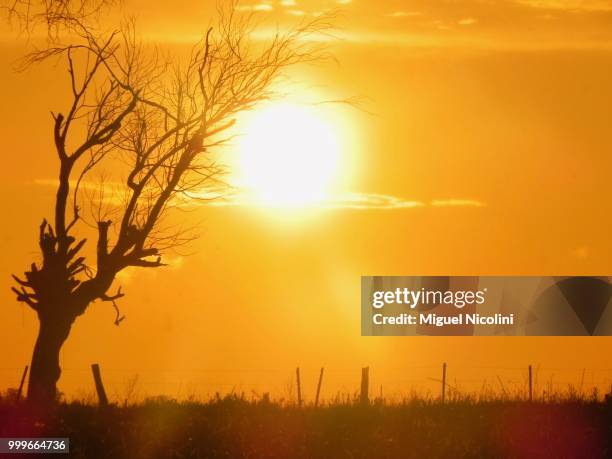 atardecer en el campo. - atardecer stockfoto's en -beelden