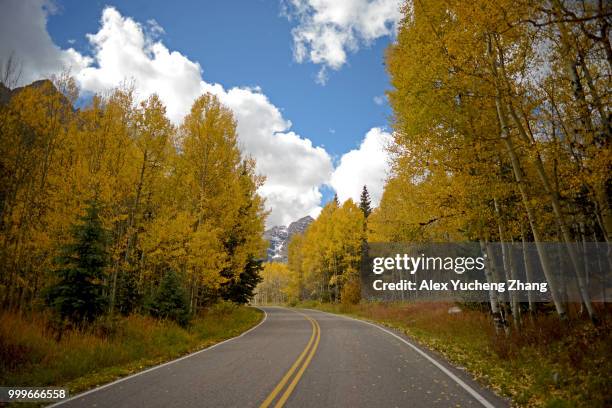 aspen fall 2016 (1) - hemisferio del norte fotografías e imágenes de stock