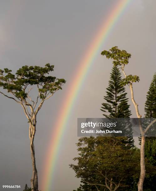 rainbow - john george lambton 1st earl of durham stockfoto's en -beelden