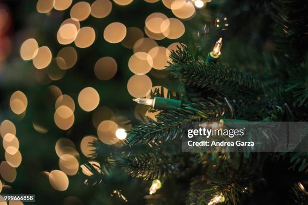 christmas light bulb on tree with bokeh - petard stock pictures, royalty-free photos & images