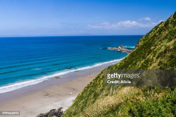 mangawhai heads - alici stock pictures, royalty-free photos & images