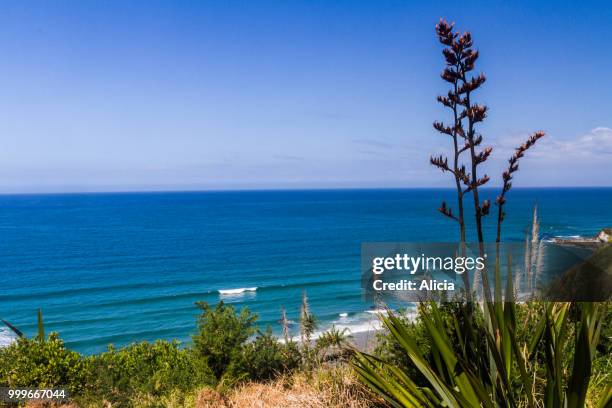 mangawhai view - alici stock pictures, royalty-free photos & images