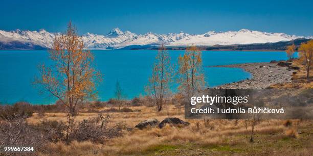 lake pukaki with mt. cook in background, new zealand - lake pukaki stockfoto's en -beelden