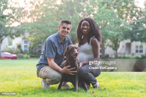 portrait of an interracial pregnant couple in the park with their dog - maternity wear stock pictures, royalty-free photos & images