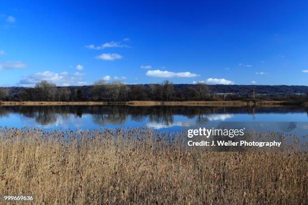 lake ammersee - ammersee stockfoto's en -beelden