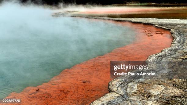 champagne pool - paulo amorim stock pictures, royalty-free photos & images