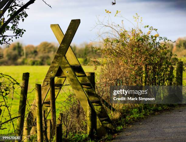 stile in the soft morning light - stile stock pictures, royalty-free photos & images