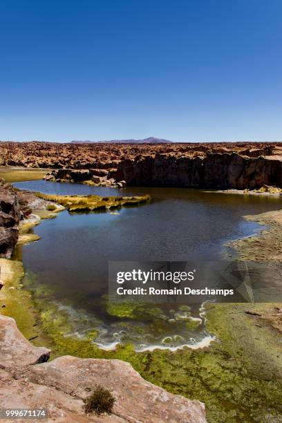 laguna excondida - laguna stockfoto's en -beelden