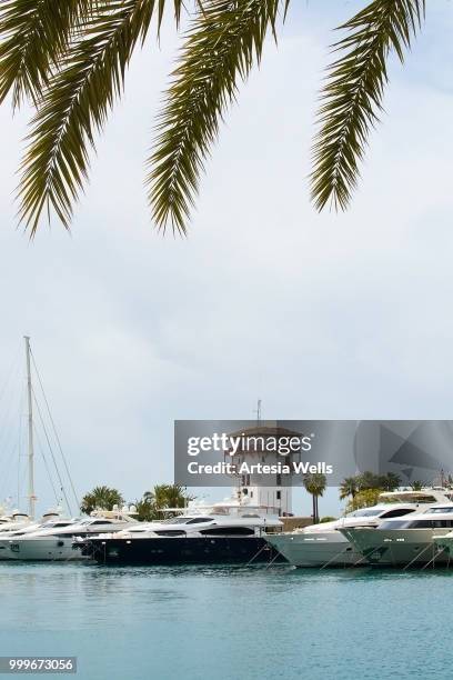 luxury yachts in puerto portals marina - puerto stock-fotos und bilder