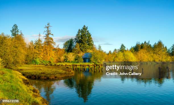 mud bay olympia - mud imagens e fotografias de stock